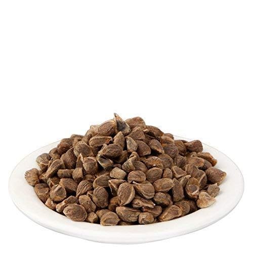 Yuvika Beej Bidhara Asli - Vidhara Seeds - Elephant creeper 250 Grams gallery