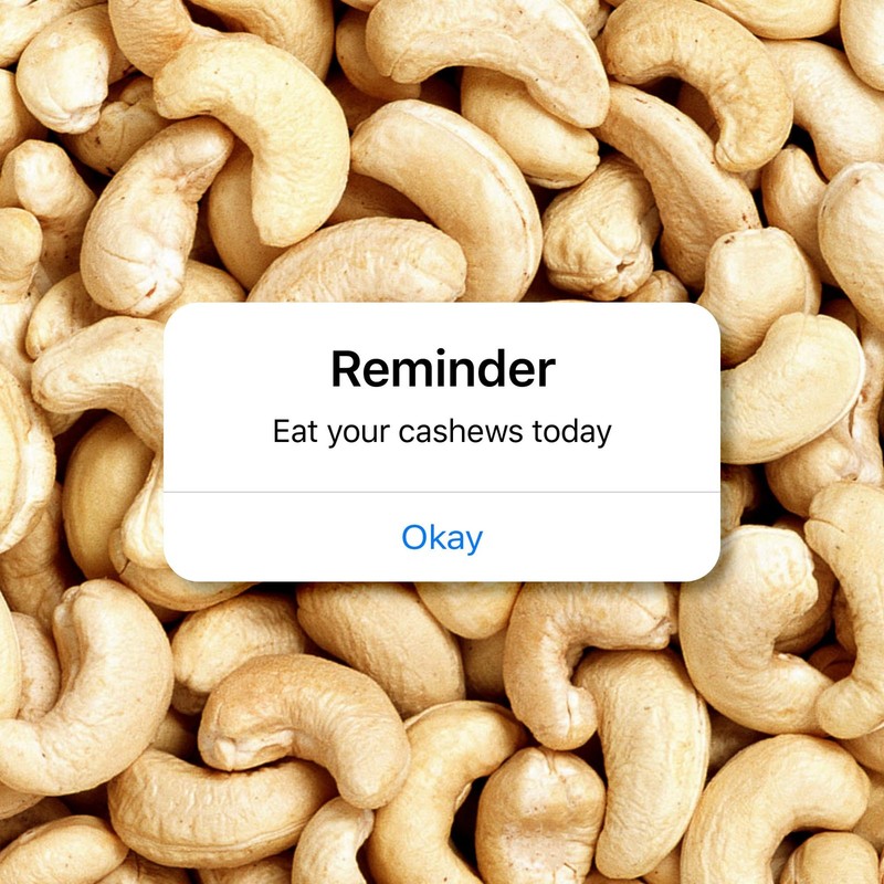 YogaBar Premium Cashews 200g | Whole W320 Kaju | Natural Crunchy Nuts gallery