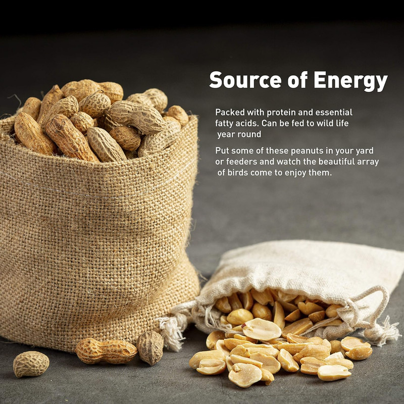 25 Pound Bag Animal Peanuts In-Shell. Peanuts for Squirrels, Birds, Deer, Pigs a gallery
