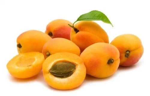 Bitter Apricot Kernels 1LB-100% USDA Certified Organic Bitter Apricot Seeds Free gallery