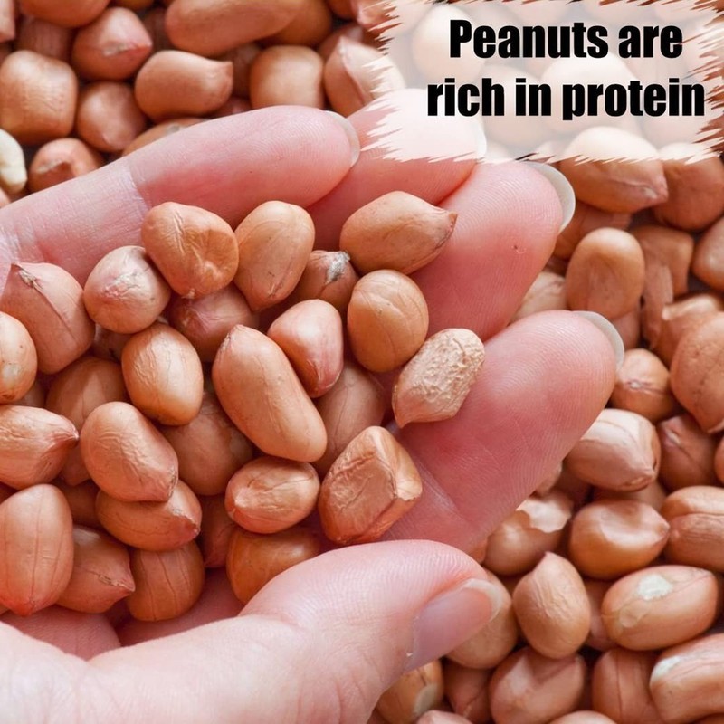 Organic Shelled Peanuts, 10 lbs for Birds and Squirrels. Grown Non-GMO, Raw,... gallery