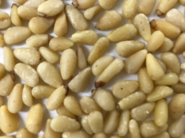 Chinese Pinenut Pignoli Fresh High Quality Resealable Bag 8oz to 13 lbs.AgroSun gallery