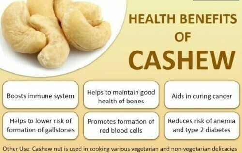 Cashew Nuts Whole Fresh Taste Premium Quality A Grade Pure Sri Lankan Cashews gallery