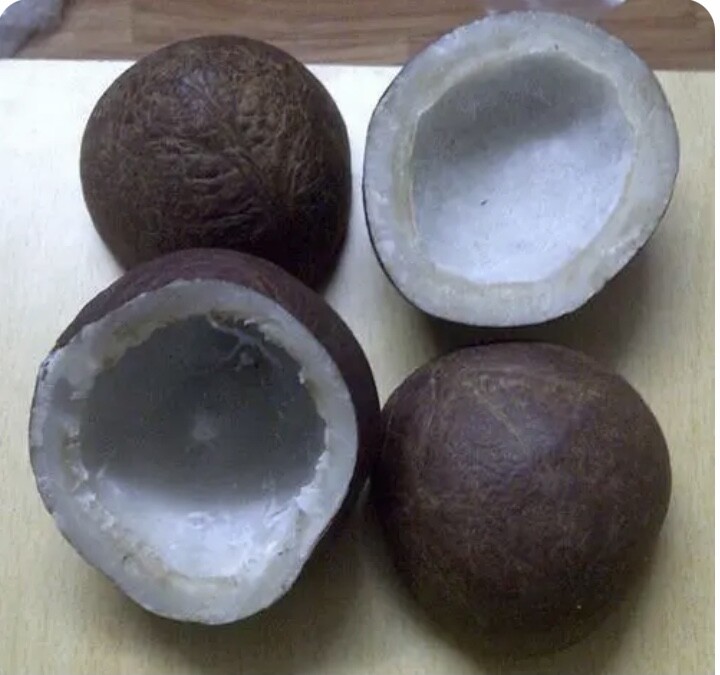 Dry Coconut Halve Whole 500g Copra Organic Fresh whole Rich In Oil Ceylon Made