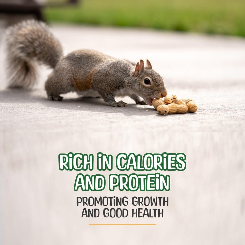 Mango - Raw Peanuts in Shell - 10 Pounds – All-Natural Food for Squirrels, Deer, gallery
