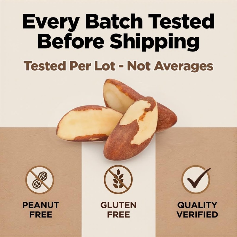 Wild Harvested Raw Brazil Nuts 3 lbs - High Selenium, Non-GMO, Gluten-Free, Kosh gallery