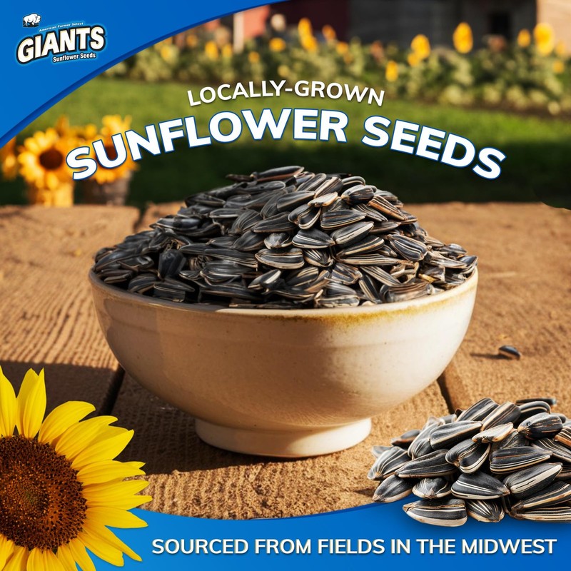 GIANTS Kettle Roast Dill Pickle Sunflower Seeds - Sunflower Seeds Bulk, Big S... gallery