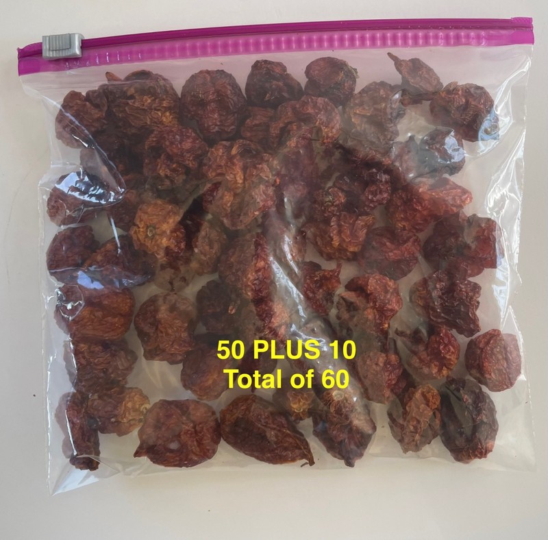 Carolina Reaper 50 plus 10 dried pepper pods gallery