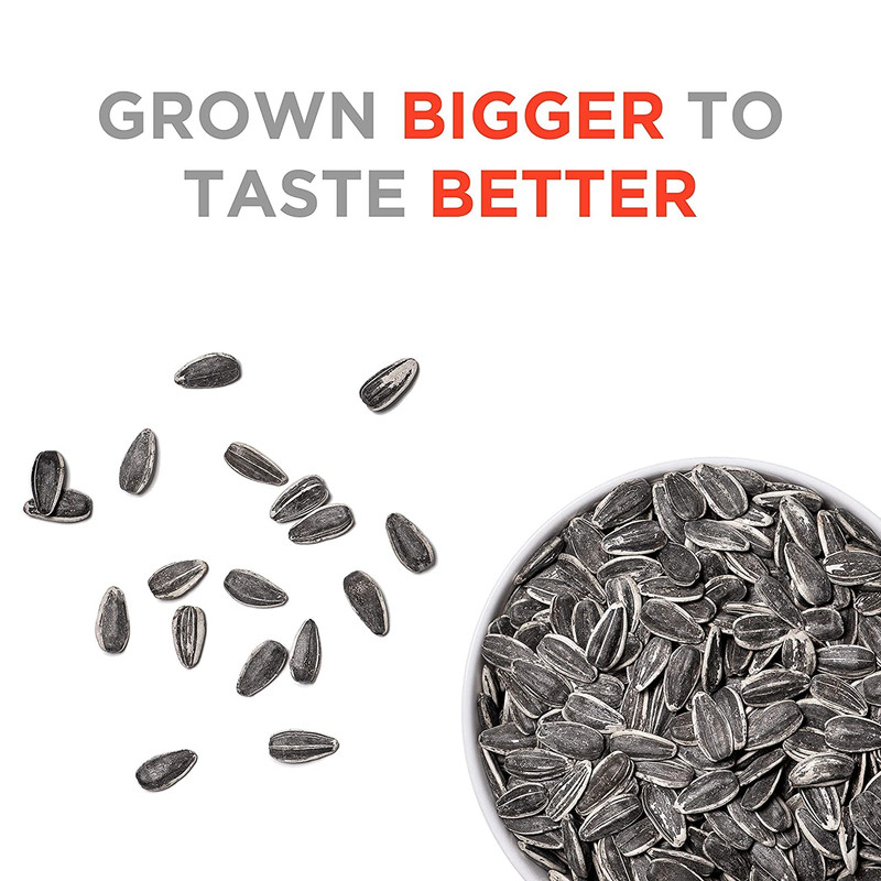 JUMBO SUNFLOWER SEEDS Sunflower Seeds, Mega No Salt, 5.5-Ounce Pack of 12 gallery