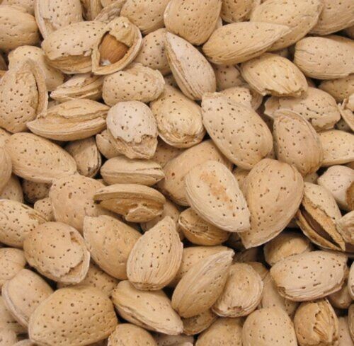 Raw California Almonds In Shell – 2 lbs Premium Quality fresh stock free shipng