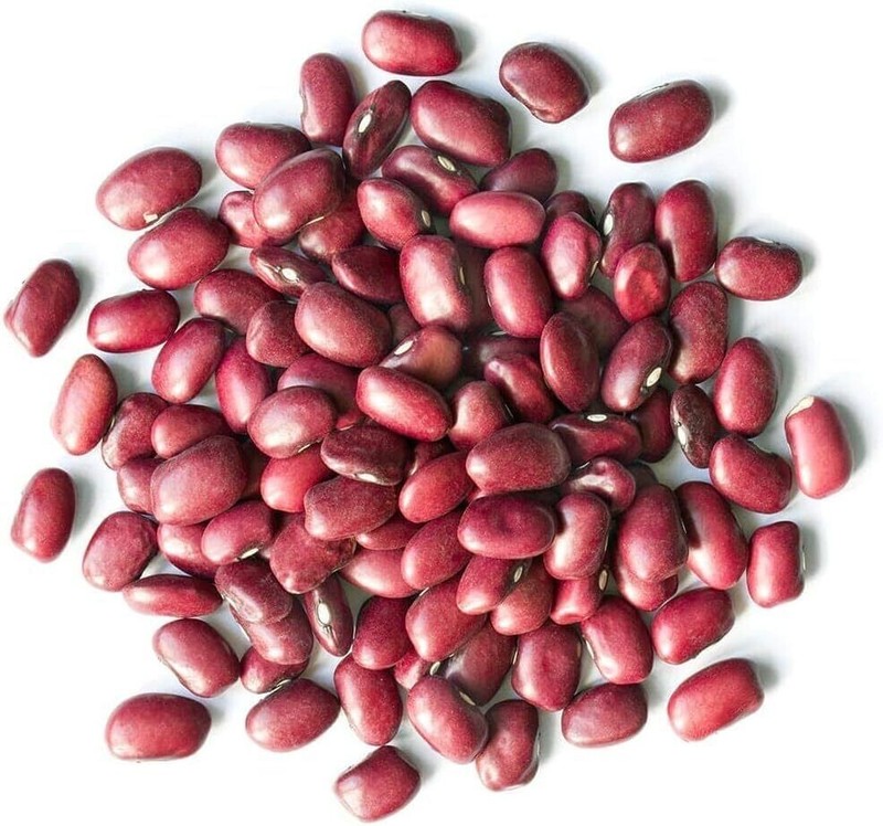 Organic Adzuki Beans – Sproutable, Kosher, Raw, Vegan – Non-GMO