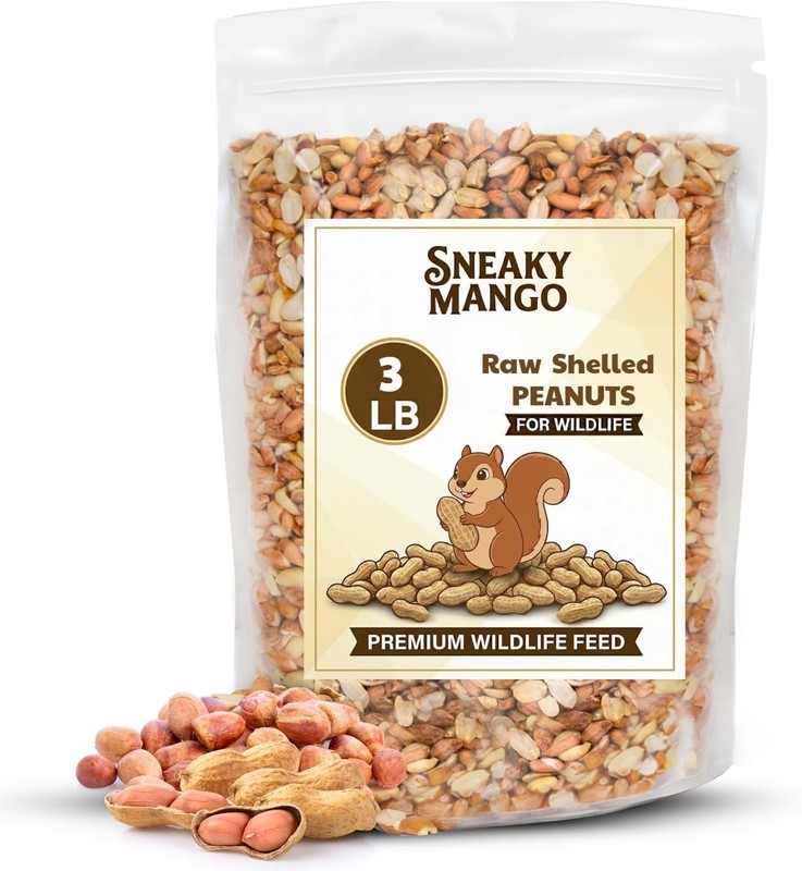 Raw Out of Shell Peanuts 3 Pound Shelled Peanuts Birds – Wildlife Quality Food