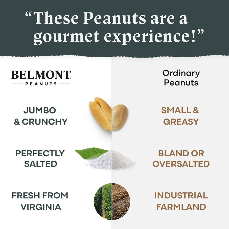 Gourmet Sea-Salted Virginia Peanuts, 20 oz (1 Pack) – Only 3 Simple Ingredien... gallery