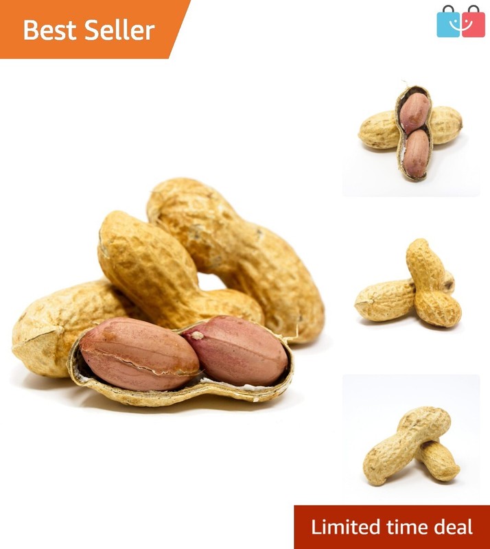 Premium 2.5lb Jumbo Raw Peanuts in Shell For Squirrels – Unsalted Treats