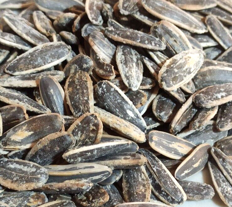 400gr./14oz.Roasted Salted Jumbo Sunflower Seeds Handicraft Jerusalem Holy Land gallery