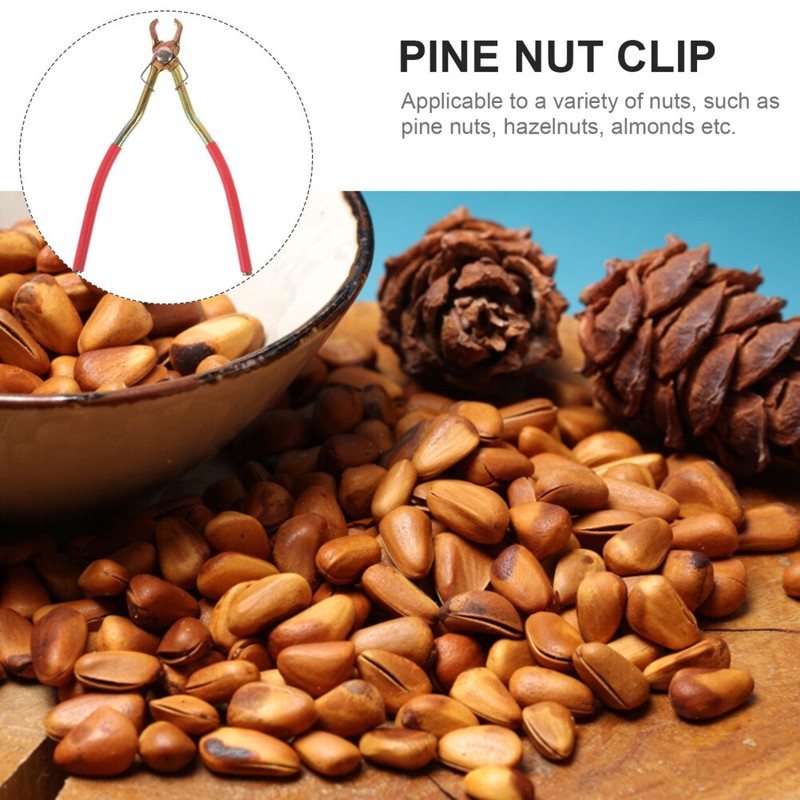 3 Pcs Handheld Nut Opener Pistachio Opener Pine Nut Clip Snack Tool Almond gallery