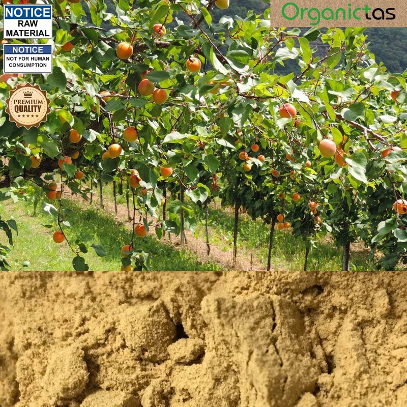 Bitter Apricot POWDER Raw (Seeds, Kernel, Pit, Stone, Core) Best Premium Quality gallery