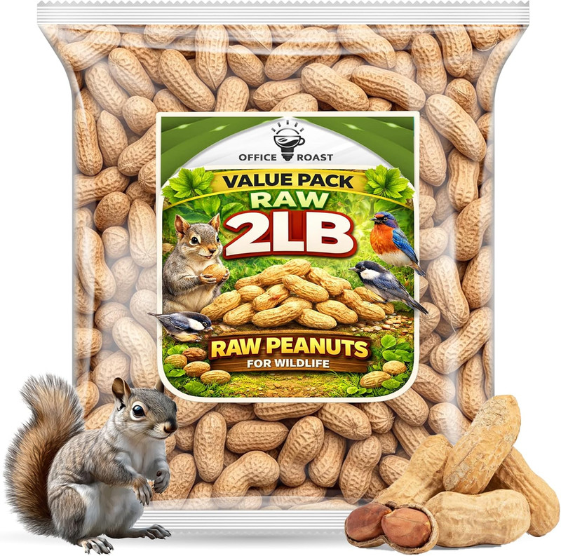 Office Roast Raw Peanuts in Shell 2 Lb Bag – Unsalted, Natural & Healthy Snack –