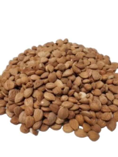 Nutrient-Rich Organic Bitter Apricot Kernels 4oz - Perfect for Culinary Uses gallery