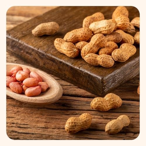 Salted Roasted Peanuts In Shell 5 lb Bag USA Grown Non-GMO Gluten Free Vegan gallery