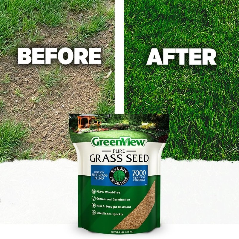 Kentucky Bluegrass Seed Blend, 20 lb Bag - Covers 20,000 sq ft - Lush Lawn Growt gallery