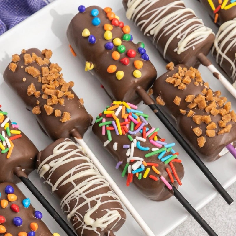 Chocolate Covered Marshmallow / 12 lollipops