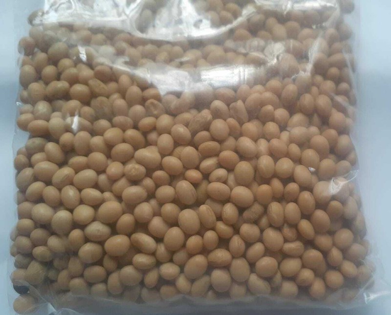 Organic Highly Nutritional Soya Beans For Tofu soy milk making No Preservatives gallery