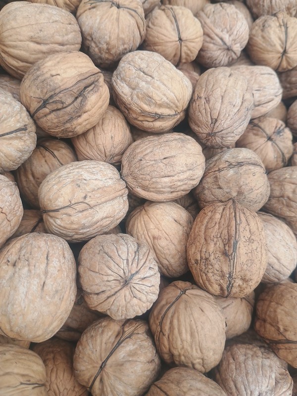 2 Lb Bags Of 100% Organic Hand Gathered Walnuts From California gallery