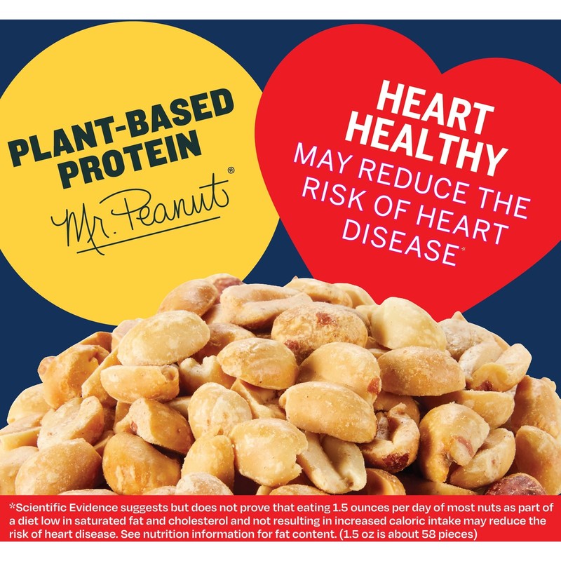 Dry Roasted Lightly Salted Plant Based Protein Snack 16oz Jar 4 Pack gallery
