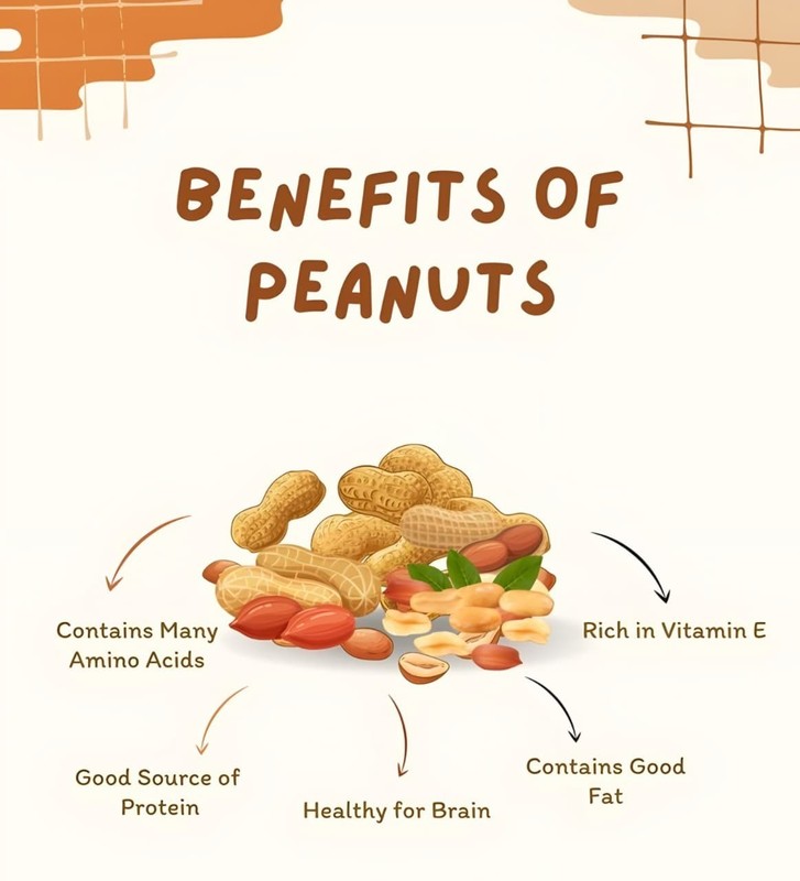 Organic Raw Peanuts | Unsalted | High Protein Superfood ( 1 KG ) gallery