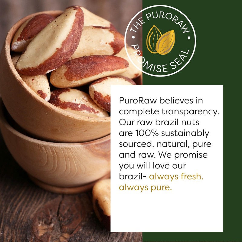 PuroRaw Raw Brazil Nuts 1lb - Unsalted Non-GMO Vegan Snack gallery