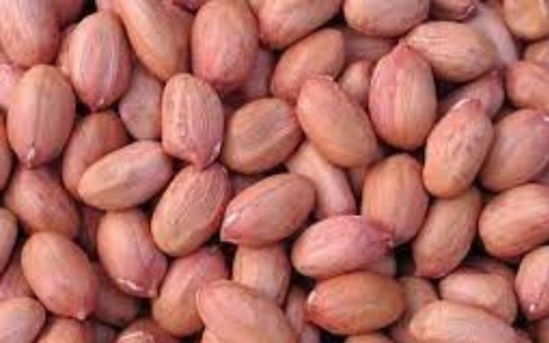 100% Natural Organic Peanuts Groundnuts Fresh Whole Raw Peanut Best Quality