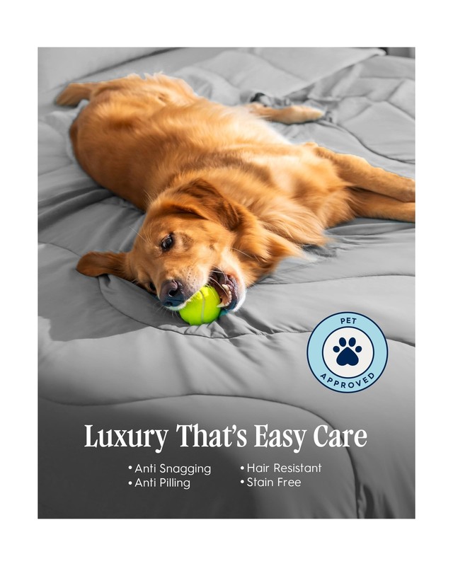 REST Save $129 on Evercool Comforter + Cooling Fitted Sheet Value Bundle - in... gallery