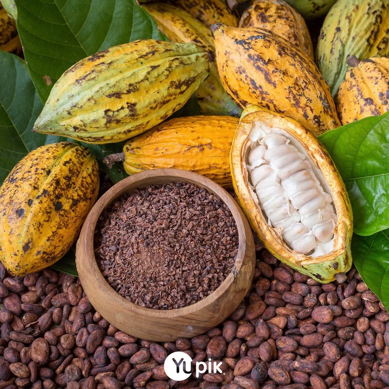 Raw Cacao Beans 2.2lb Organic - Nutrient-Dense, Gluten-Free, Source of Iron gallery