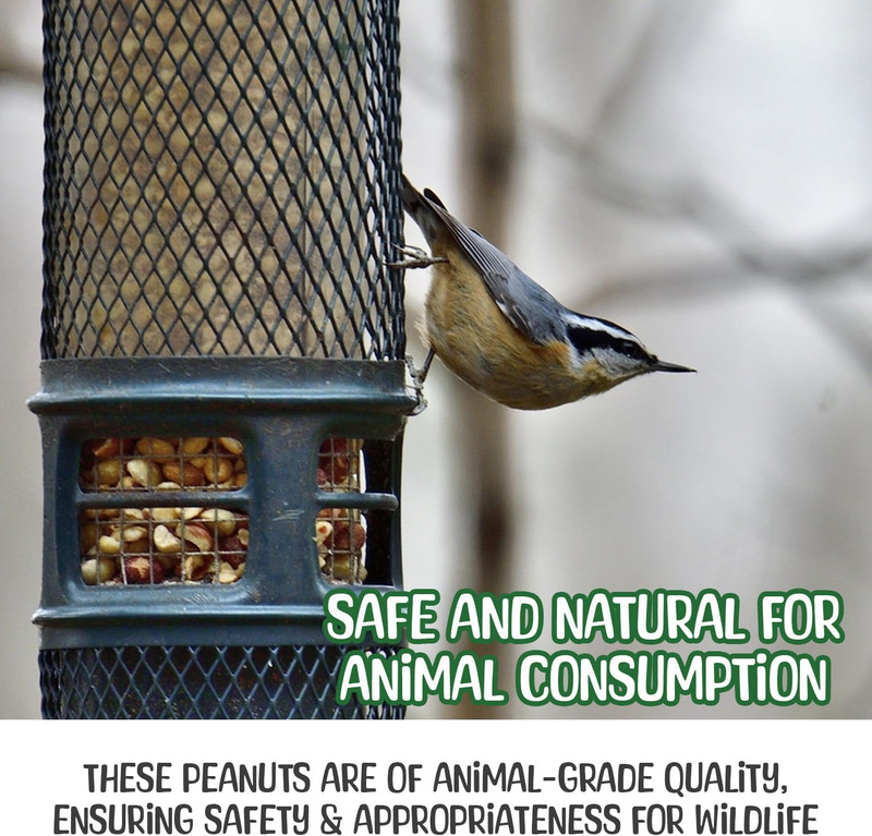 - 25 Pound Raw Peanuts in Shell – All-Natural Food for Squirrels, Deer, Birds, a gallery