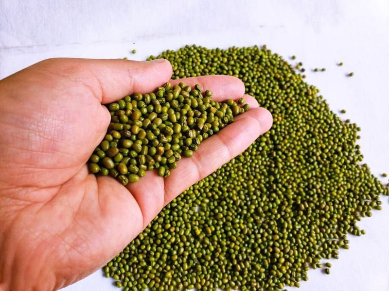 Mung Organic Beans Whole Green Moong Bean Dried Dal Non-Gmo Split 'Green Gram' ' gallery