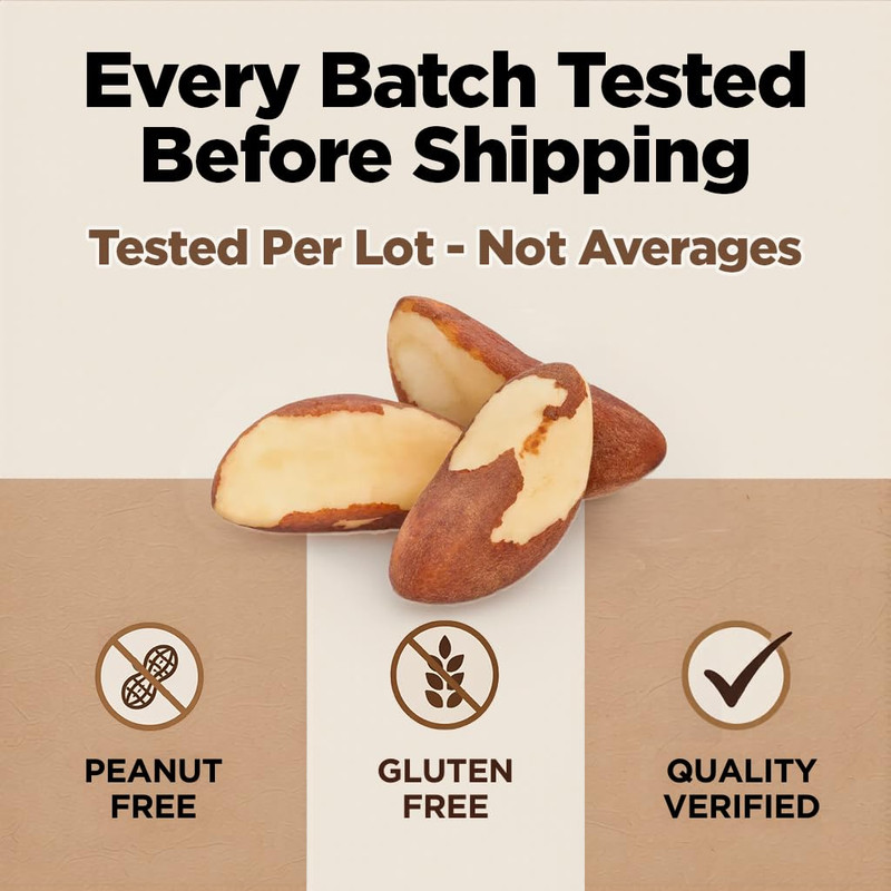 Premium Wild Harvested Raw Brazil Nuts, 1 Lb (16Oz) – High Selenium, Batch Teste gallery