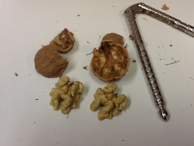 10 lbs California Chandler Walnuts in Shell Freshly Harvested November 2025 gallery