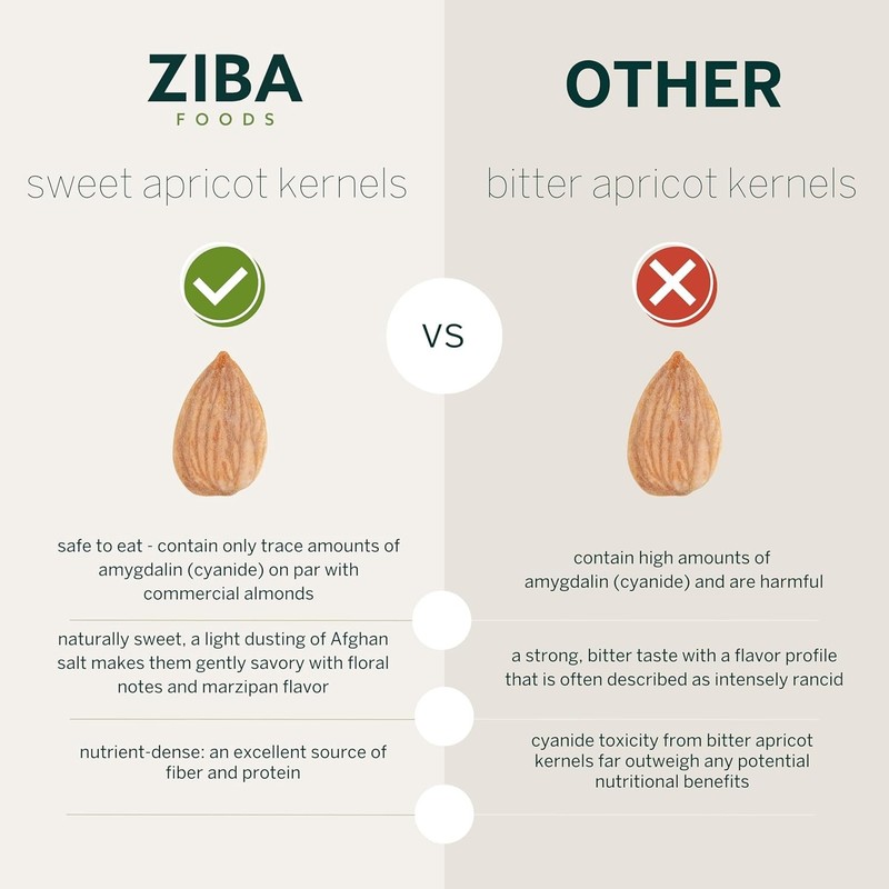 Organic Apricot Seeds Organic Bitter Apricot Kernels, Non-Gmo Apricot Seed gallery