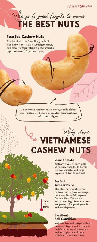 Signature Market Roasted Cashew Nuts (100g) gallery