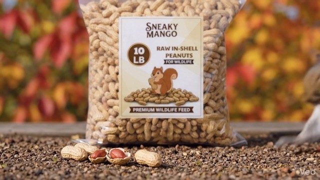 25 lb Raw Peanuts in Shell - All-Natural Wildlife Food for Squirrels, Birds & De gallery