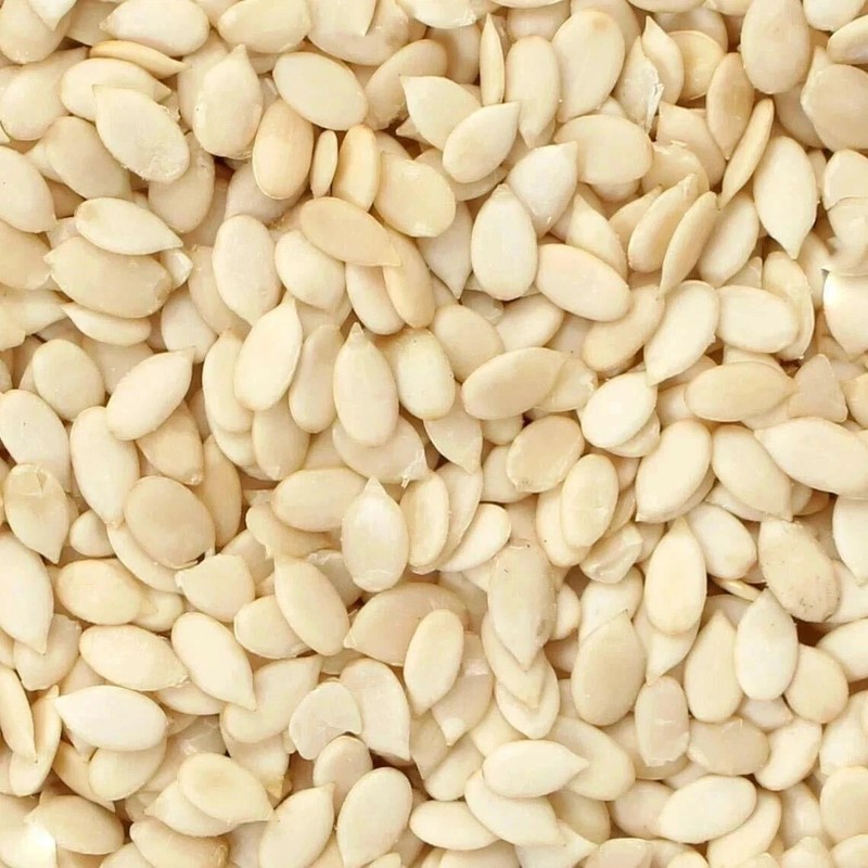 Raw Watermelon Seeds Magaj High Protein Healthy Snack Pack -50g Free Shipping