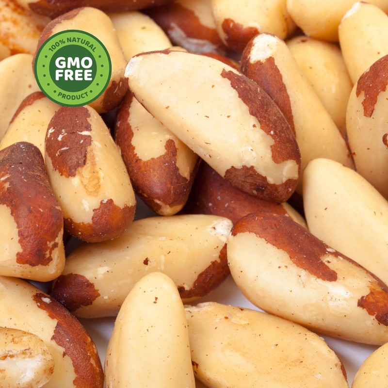 PuroRaw Raw Brazil Nuts 1lb - Unsalted Non-GMO Vegan Snack gallery