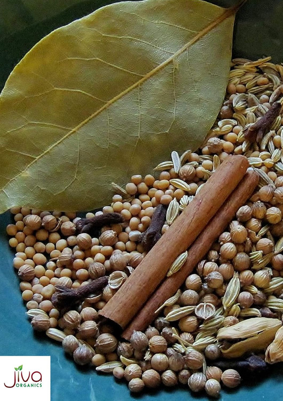 Jiva Organics Organic Coriander Seeds Whole 1.25 Pound Bulk Bag - Non-Gmo gallery