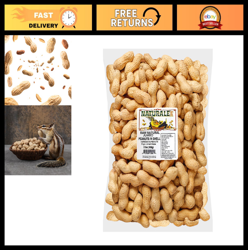 Raw Unsalted Peanuts in Shell 2 lbs – Healthy Natural Snack & Wildlife Feed