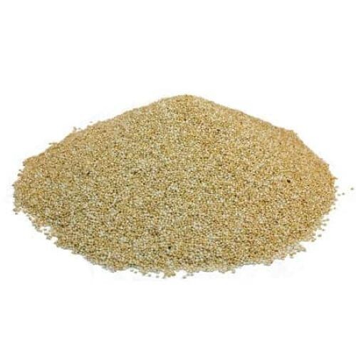 Bulk Quinoa Seeds 10 lb Wholesale Box gallery