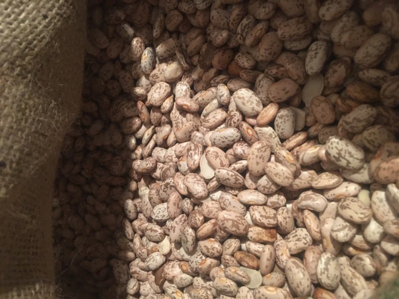 54 lbs Pinto Beans New Triple Clean U.S. No. 1 Crop total 54 pounds El Toro gallery