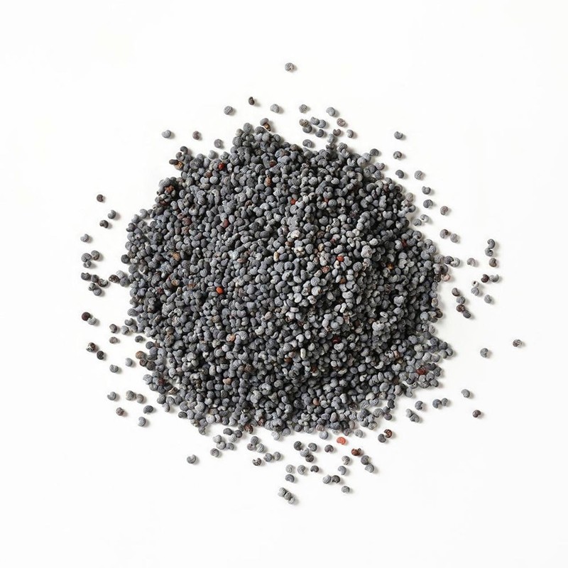 Bulk Culinary Poppy Seeds Baking Food 1 lb.