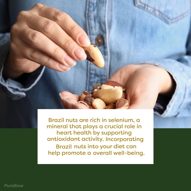 PuroRaw Raw Brazil Nuts 1lb - Unsalted Non-GMO Vegan Snack gallery