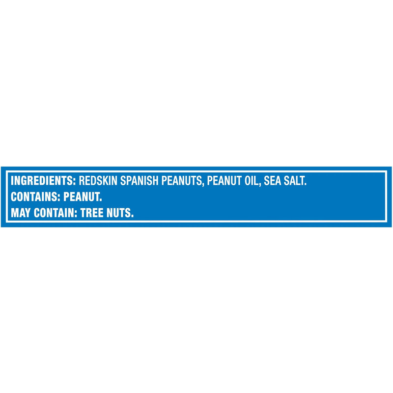 Planters Redskin Spanish Peanuts Sea Salt 12.5 Oz (pack of 6) gallery